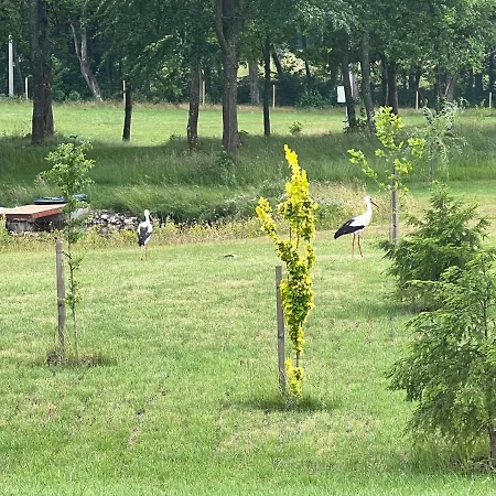 Komfortowy Z Kominkiem Hébergement de vacances *