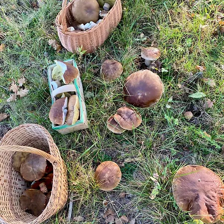 Hébergement de vacances Komfortowy Z Kominkiem Barwice