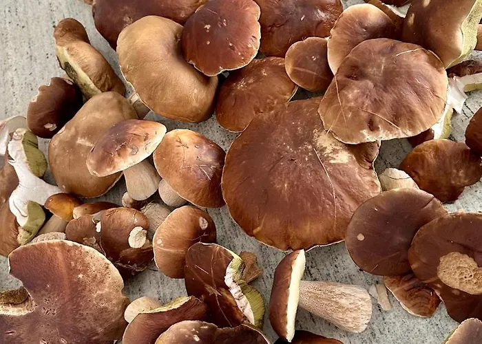 Komfortowy Z Kominkiem Ferienhaus Barwice