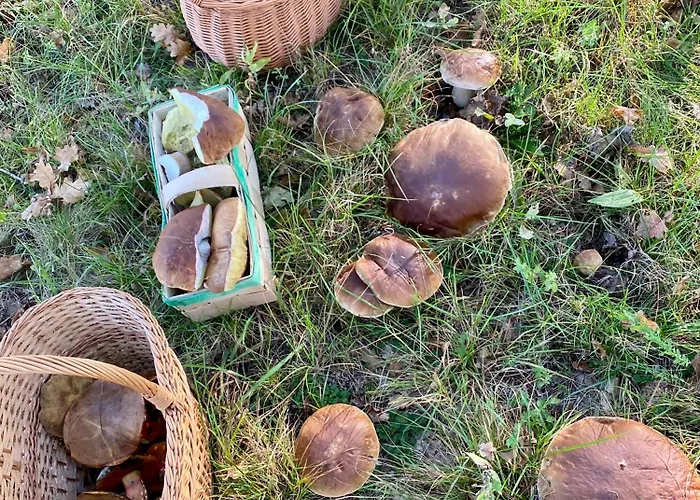 Ferienhaus Komfortowy Z Kominkiem Barwice