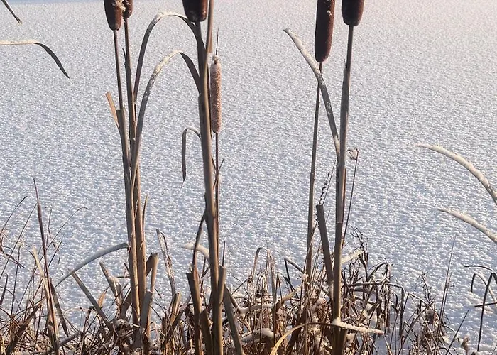 Komfortowy Z Kominkiem Ferienhaus